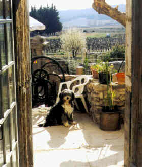 France vacation rental